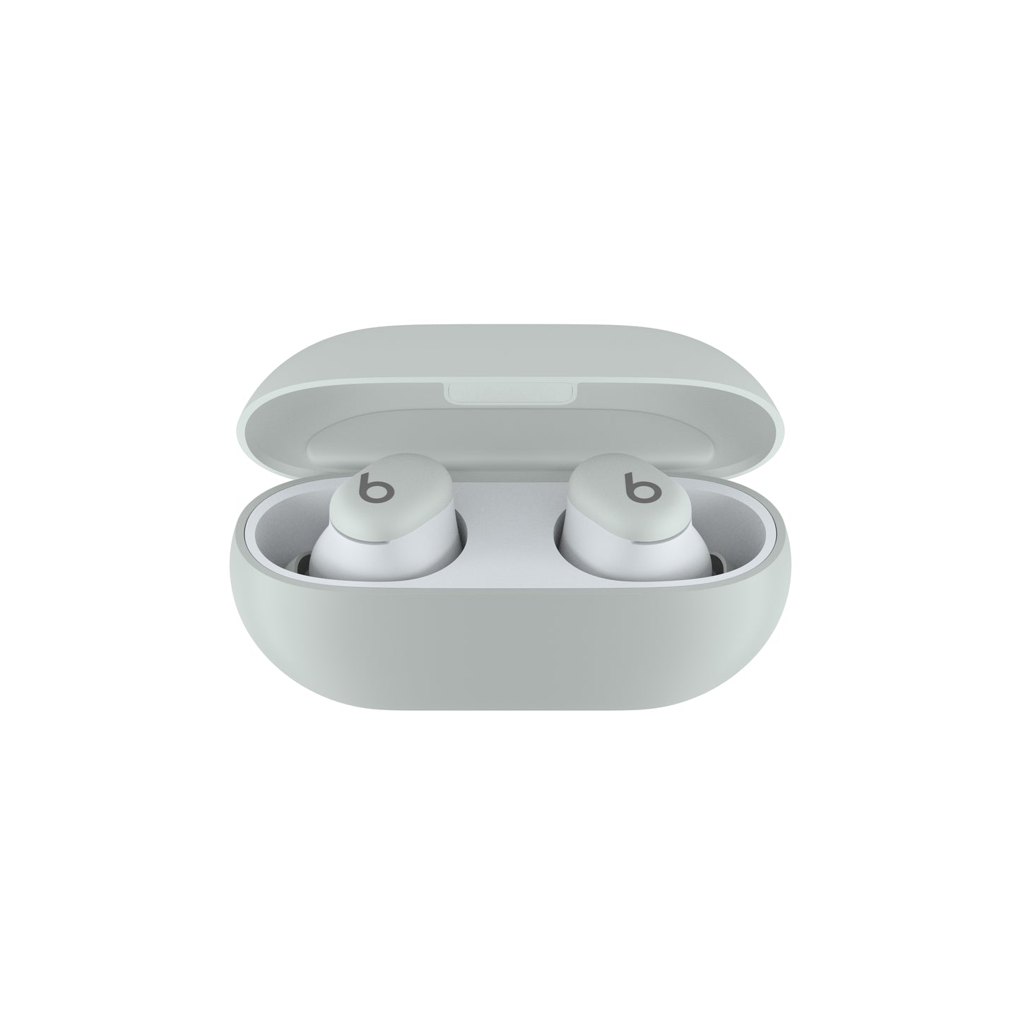 Beats Solo Buds - True Wireless Earbuds (Storm Grey)