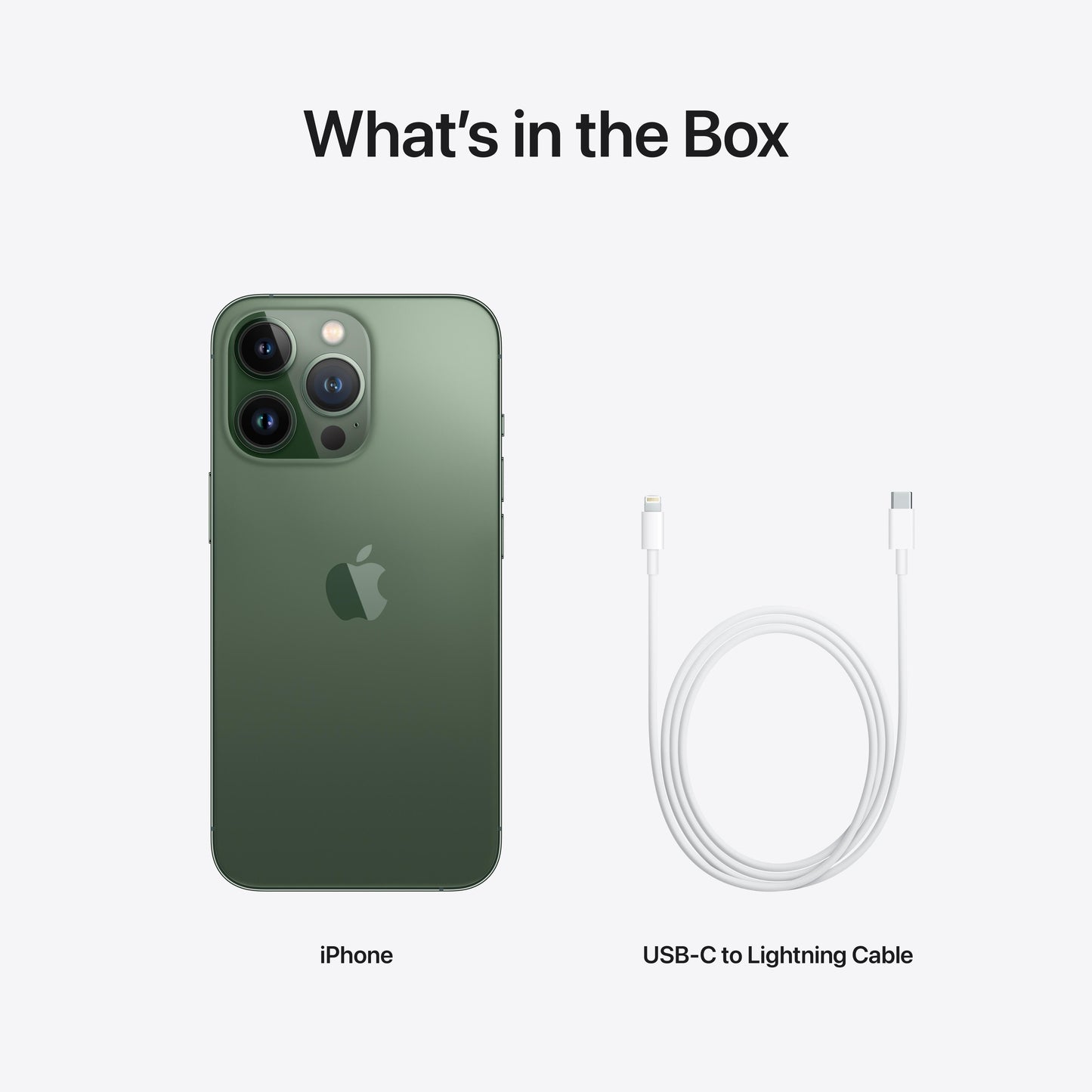 iPhone 13 Pro 1TB Alpine Green