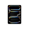 iPad Pro M4 (11-inch)