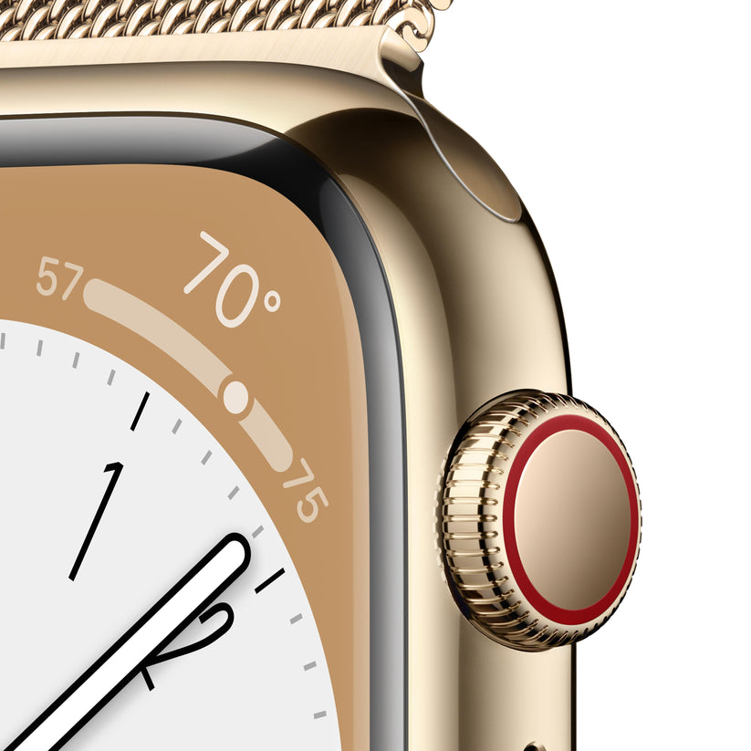 Apple watch series 6 gold stainless steel case 2025 with milanese loop