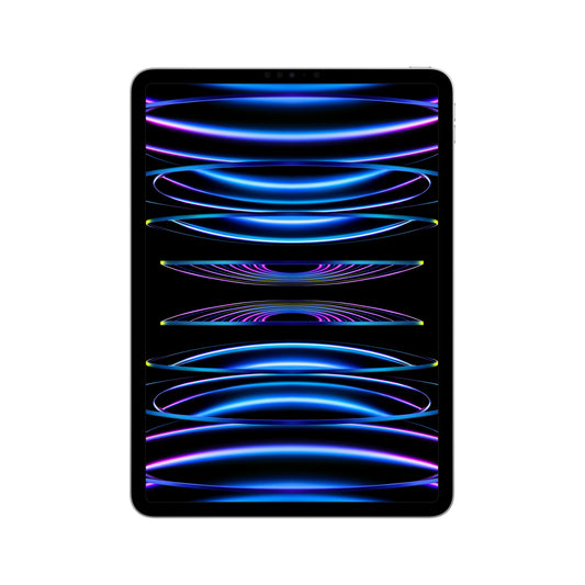 2022 11-inch iPad Pro Wi-Fi 1TB - Silver (4th generation)